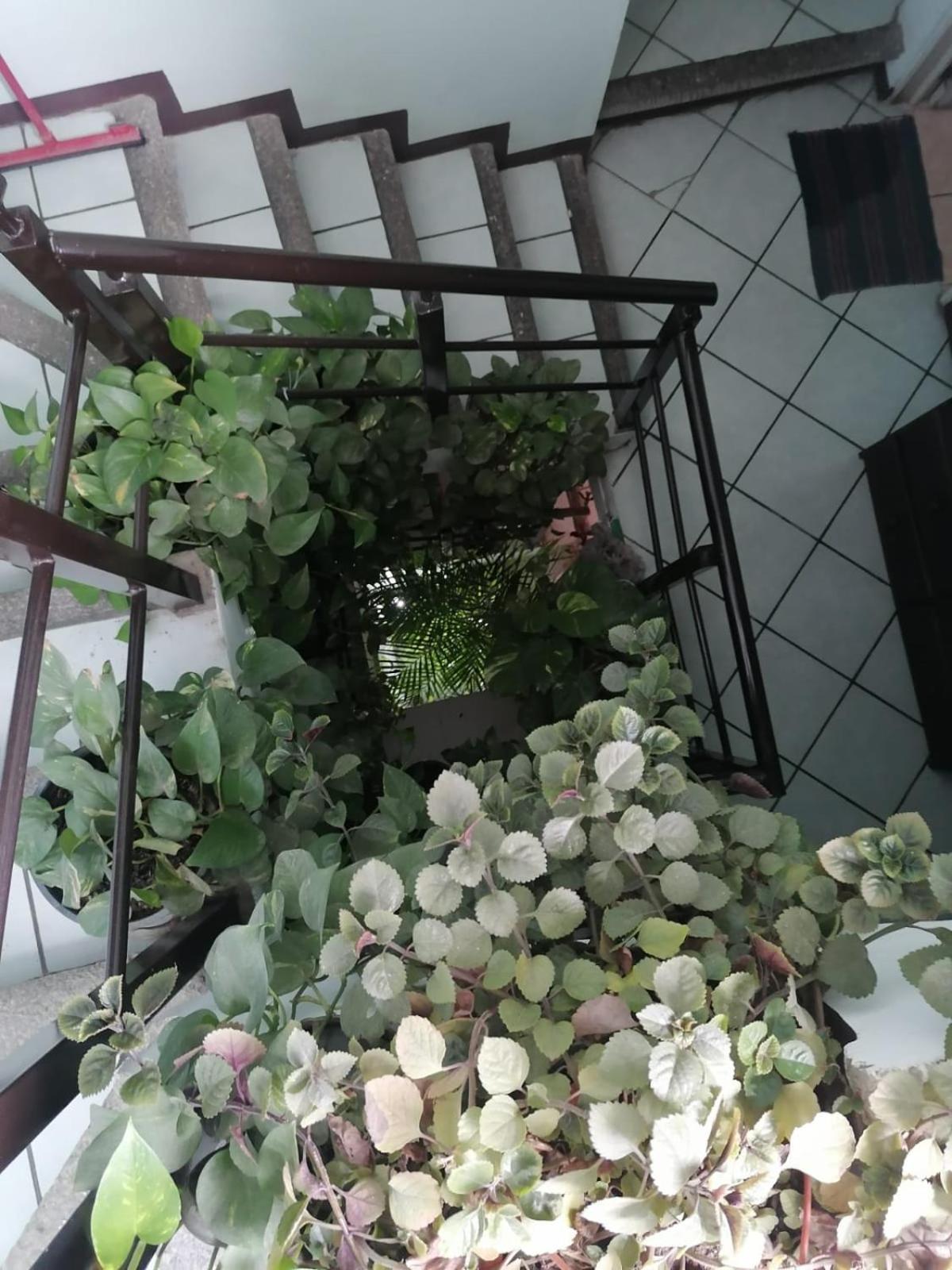 Casa Los Arcos Oaxaca Eksteriør bilde