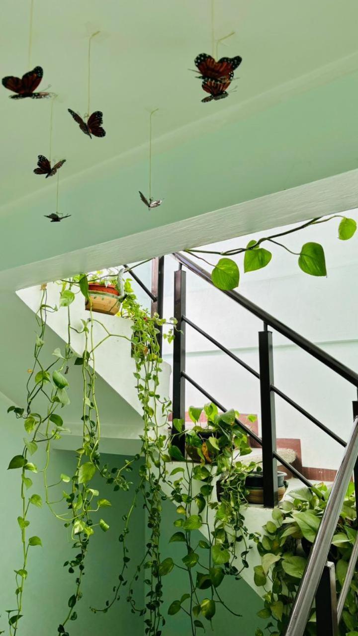 Casa Los Arcos Oaxaca Eksteriør bilde